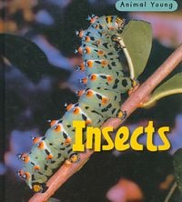 Produktbild: Insects