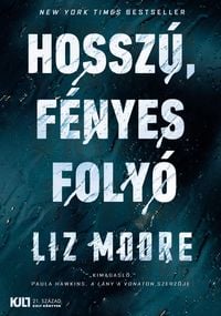 Bild vom Artikel Hosszú, fényes folyó vom Autor Liz Moore