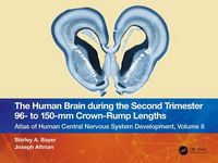 Produktbild: The Human Brain during the Second Trimester 96&ndash; to 150&ndash;mm Crown-Rump Lengths