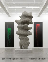 Produktbild: Pat Steir & Ugo Rondinone &ndash; Waterfalls & Clouds