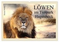 Produktbild: L&ouml;wen im Tierpark Hagenbeck (Wandkalender 2027 DIN A2 quer), CALVENDO Monatskalender