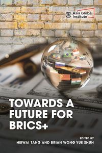 Produktbild: Towards a Future for Brics+