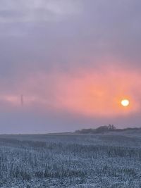 Produktbild: Kestrel at sunset and other poems