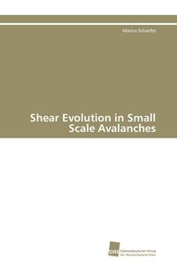 Produktbild: Shear Evolution in Small Scale Avalanches