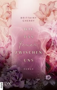 Produktbild: Wie das Feuer zwischen uns