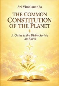 Produktbild: The Common Constitution Of The Planet