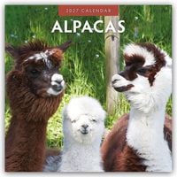 Produktbild: Alpacas &ndash; Alpakas 2027 &ndash; 16-Monatskalender