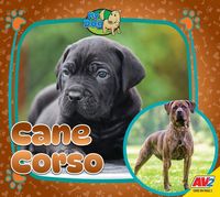 Produktbild: Cane Corso