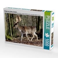 Produktbild: CALVENDO Puzzle K&ouml;nige des Waldes- Hirsche | 1000 Teile Lege-Gr&ouml;&szlig;e 64x48cm Foto-Puzzle f&uuml;r gl&uuml;ckliche Stunden