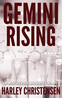 Produktbild: Gemini Rising