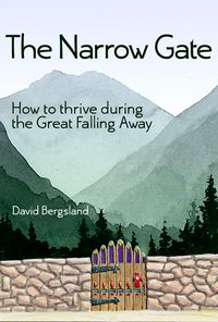 Produktbild: The Narrow Gate