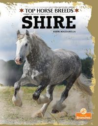 Produktbild: Shire