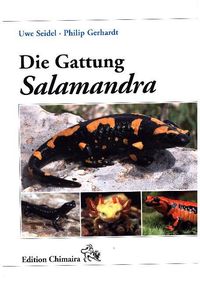 Bild vom Artikel Die Gattung Salamandra vom Autor Uwe Seidel