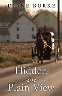 Produktbild: Hidden in Plain View -Lp