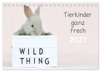 Produktbild: Tierkinder ganz frech (Tischkalender 2027 DIN A5 quer), CALVENDO Monatskalender