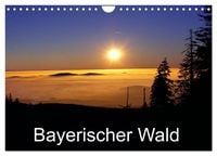 Produktbild: Bayerischer Wald (Wandkalender 2026 DIN A4 quer), CALVENDO Monatskalender