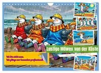 Produktbild: Lustige M&ouml;wen von der K&uuml;ste (Wandkalender 2027 DIN A4 quer), CALVENDO Monatskalender