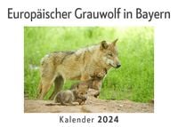 Produktbild: Europ&auml;ischer Grauwolf in Bayern (Wandkalender 2024, Kalender DIN A4 quer, Monatskalender im Querformat mit Kalendarium, Das perfekte Geschenk)