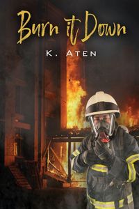 Produktbild: Burn It Down