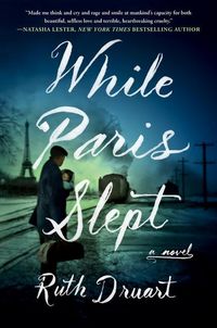 Produktbild: While Paris Slept