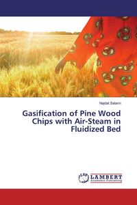Produktbild: Gasification of Pine Wood Chips with Air-Steam in Fluidized Bed
