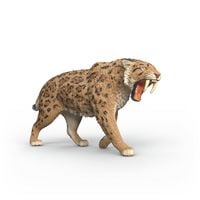 Produktbild: schleich&reg; 15054 S&auml;belzahntiger