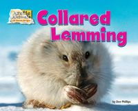 Produktbild: Collared Lemming
