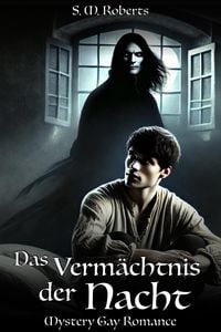 Produktbild: Das Verm&auml;chtnis der Nacht: Mystery Gay Romance