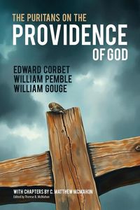Produktbild: Pemble, W: Puritans on the Providence of God