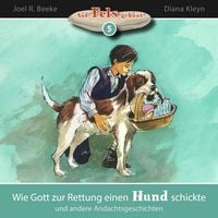 Produktbild: Wie Gott zur Rettung einen Hund schickte und andere Andachtsgeschichten