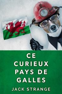 Produktbild: Ce Curieux Pays De Galles