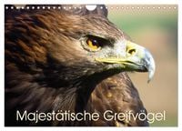 Produktbild: Majest&auml;tische Greifv&ouml;gel (Wandkalender 2026 DIN A4 quer), CALVENDO Monatskalender