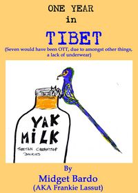 Produktbild: One Year in Tibet (Fun and Fantasy, #7)