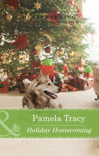 Produktbild: Holiday Homecoming