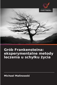 Produktbild: Gr&oacute;b Frankensteina: eksperymentalne metody leczenia u schy&iquest;ku &iquest;ycia