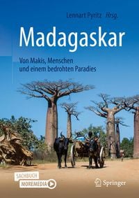 Bild vom Artikel Madagaskar - Von Makis, Menschen und einem bedrohten Paradies vom Autor 