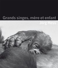 Produktbild: Grands singes, m&egrave;re et enfant