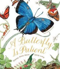 Produktbild: Butterfly Is Patient