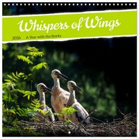 Produktbild: Whispers of Wings (Wall Calendar 2026 12 &times; 12 Inch) CALVENDO 12 Month Wall Calendar