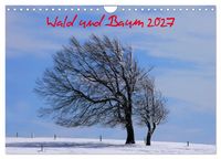 Produktbild: Wald und Baum 2027 (Wandkalender 2027 DIN A4 quer), CALVENDO Monatskalender