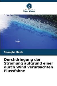 Produktbild: Durchdringung der Str&ouml;mung aufgrund einer durch Wind verursachten Flussfahne