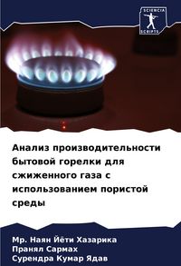 Produktbild: Analiz proizwoditel'nosti bytowoj gorelki dlq szhizhennogo gaza s ispol'zowaniem poristoj sredy