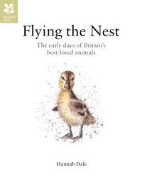 Bild vom Artikel Flying the Nest vom Autor Hannah Dale
