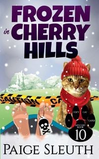 Produktbild: Frozen in Cherry Hills
