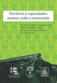 Produktbild: Territorio y capacidades: actores, redes e innovaci&oacute;n