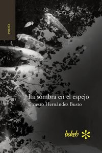 Produktbild: La sombra en el espejo. Versiones japonesas