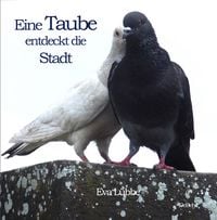 Produktbild: Eine Taube entdeckt die Stadt