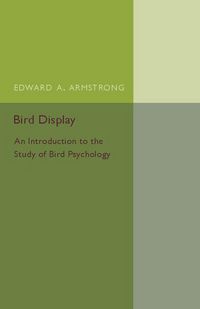 Produktbild: Bird Display