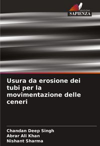 Produktbild: Usura da erosione dei tubi per la movimentazione delle ceneri