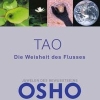 Produktbild: TAO - Die Weisheit des Flusses